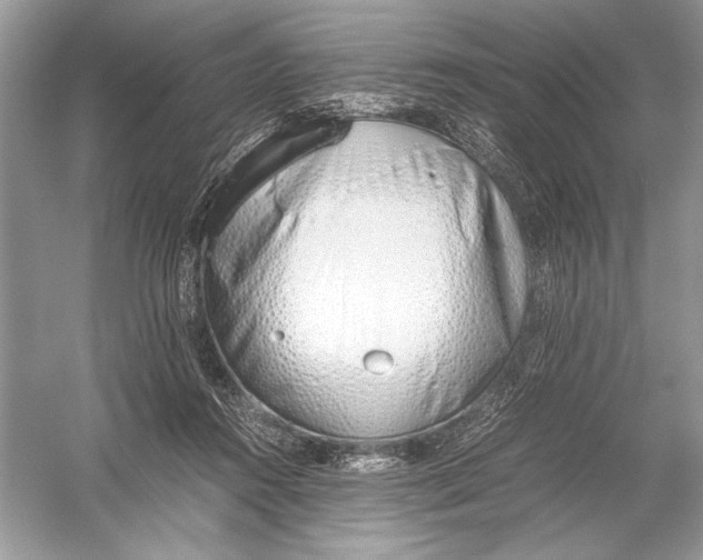 X0000051910360200507222114