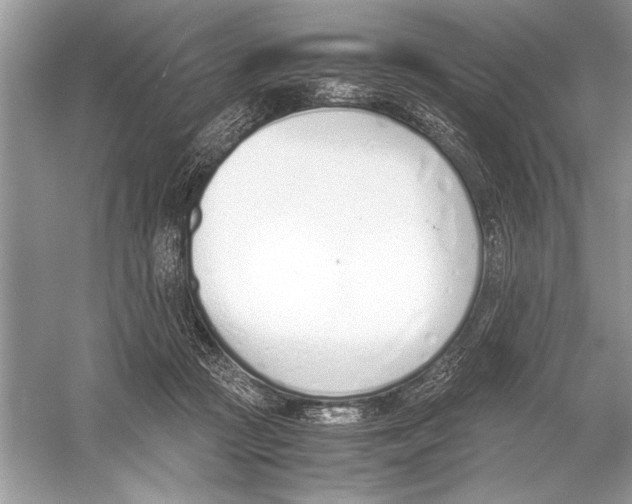 X0000051910361200507222114