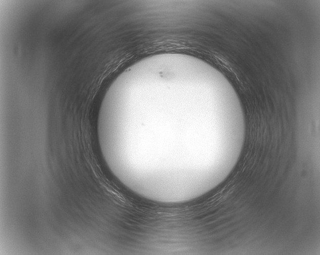 X0000051910362200507222114