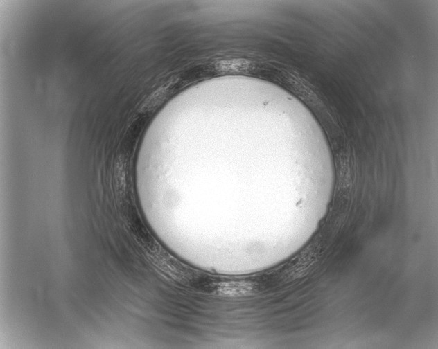 X0000051910363200507222114