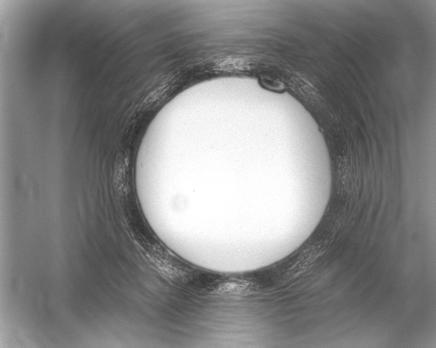 X0000051910364200507222114