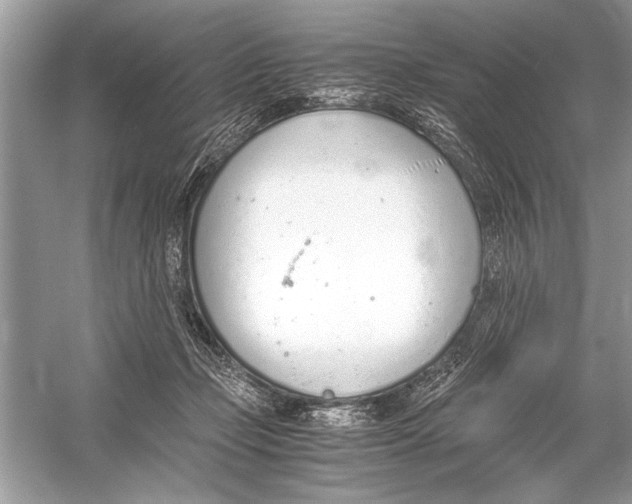 X0000051910365200507222114