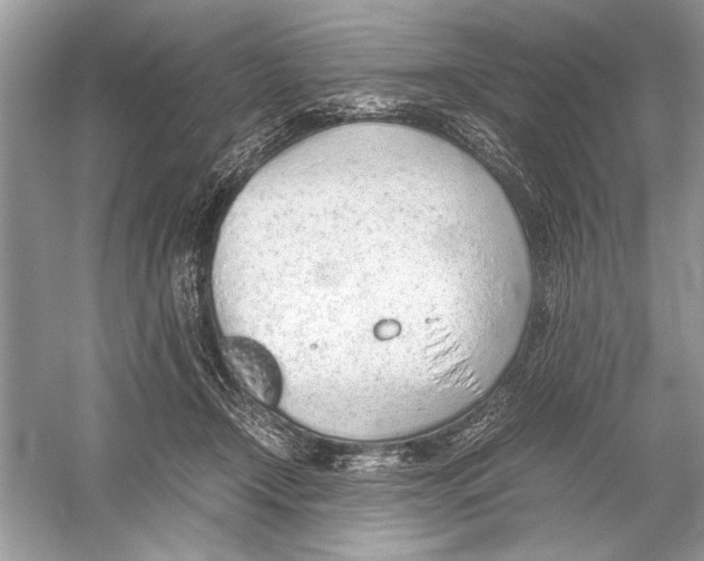 X0000051910366200507222114