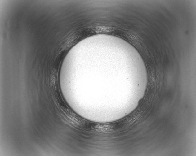 X0000051910367200507222114