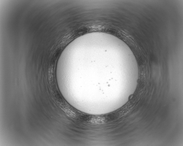 X0000051910369200507222114