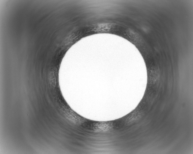 X0000051910370200507222114