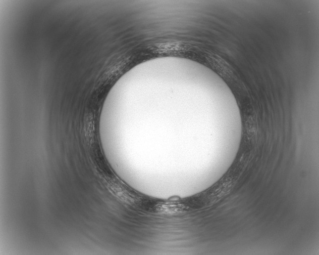 X0000051910372200507222114