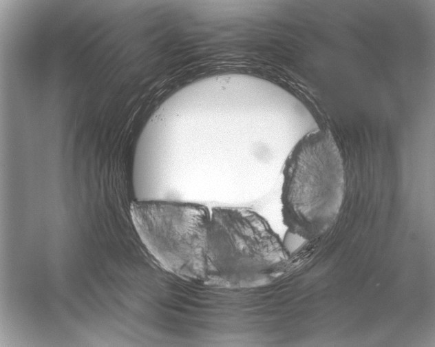 X0000051910373200507222114