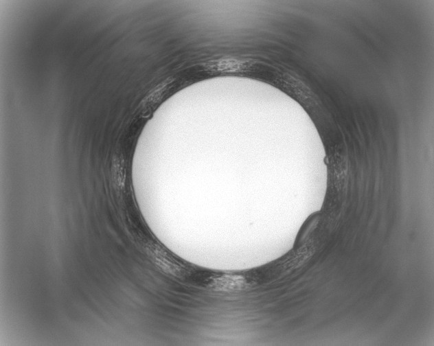 X0000051910374200507222114