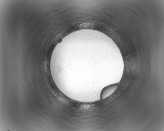 X0000051910375200507222114