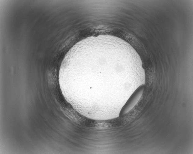 X0000051910376200507222114