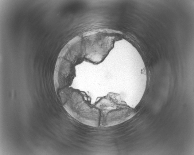 X0000051910377200507222114