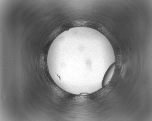 X0000051910378200507222114