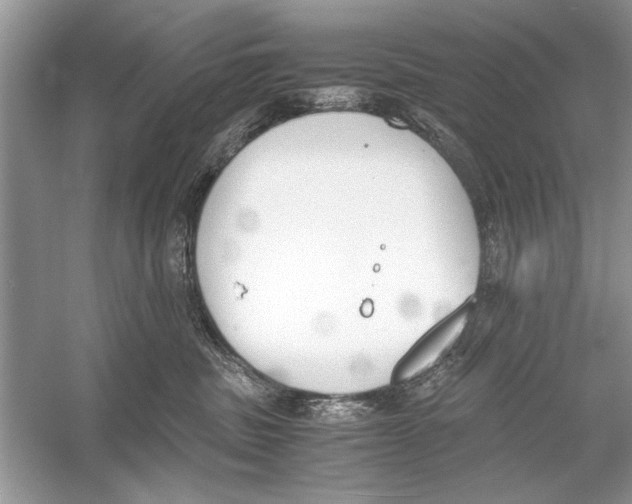 X0000051910379200507222114