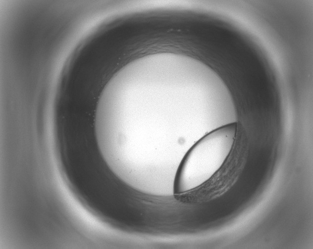 X0000051910382200507222114