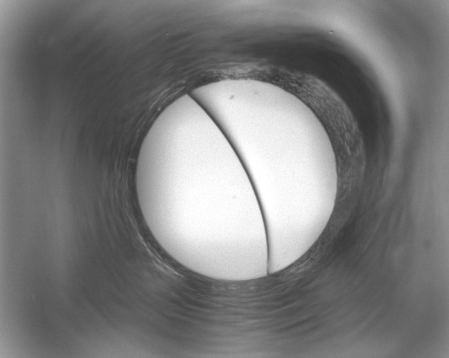 X0000051910383200507222115