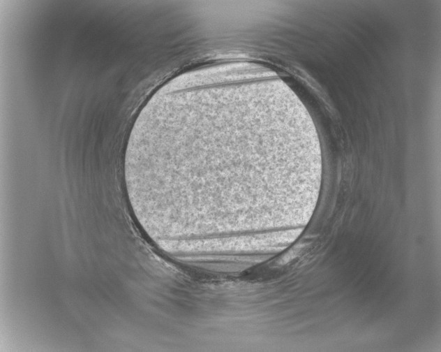 X0000051910385200507222114