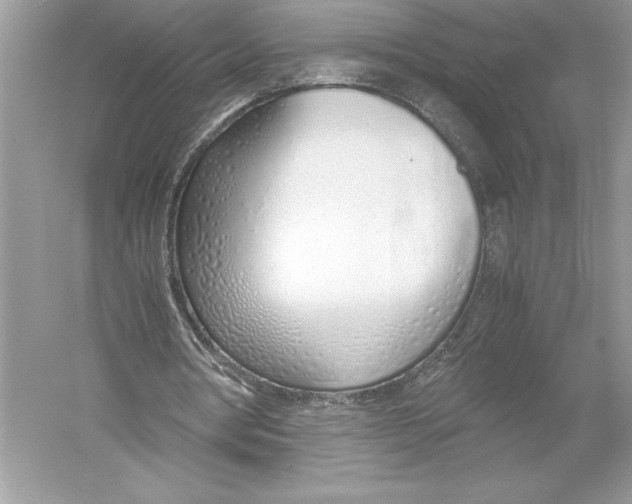 X0000051910386200507222114