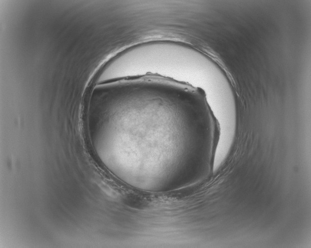 X0000051910387200507222114