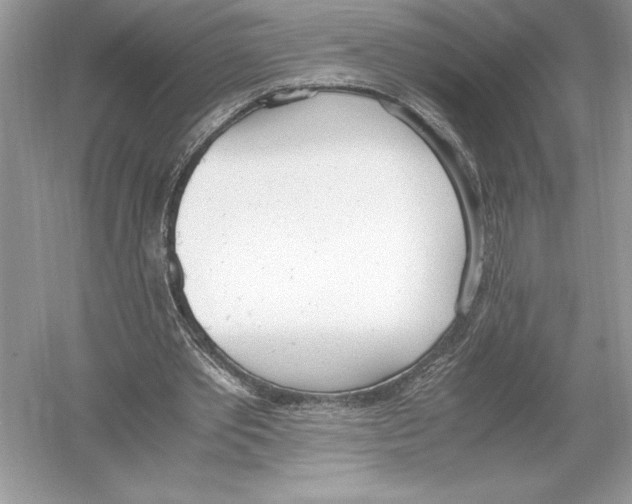 X0000051910389200507222114