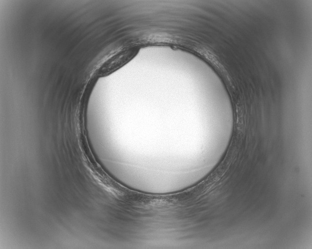 X0000051910390200507222114