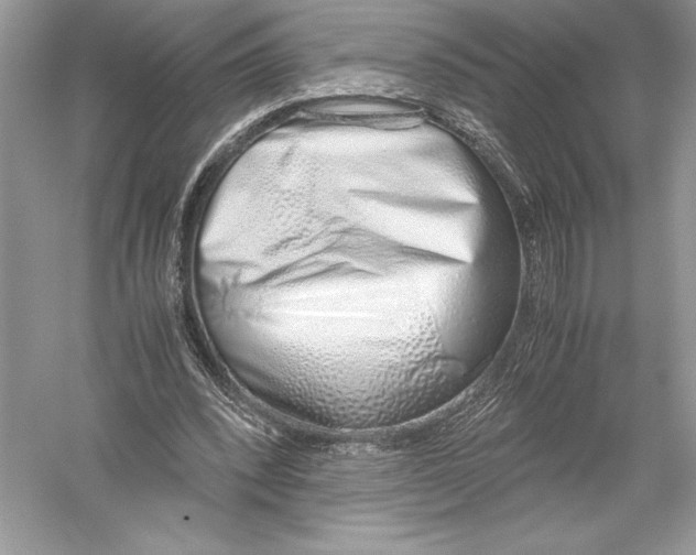 X0000051910392200507222114