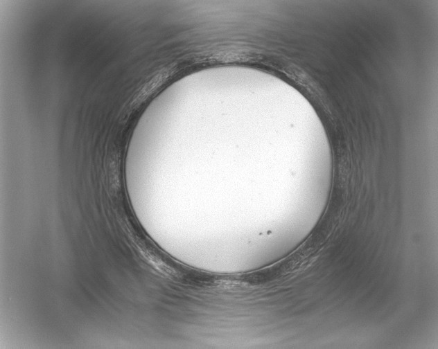 X0000051910393200507222114