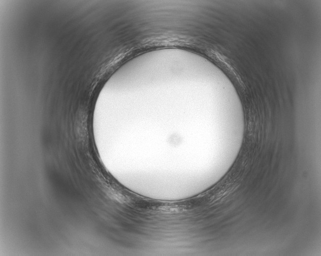 X0000051910394200507222114