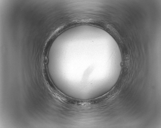 X0000051910395200507222114