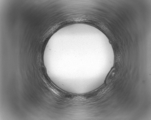 X0000051910397200507222113