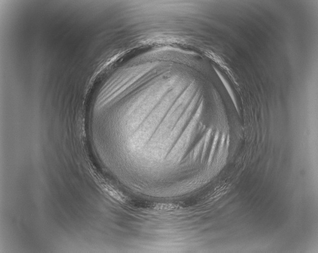 X0000051910399200507222113