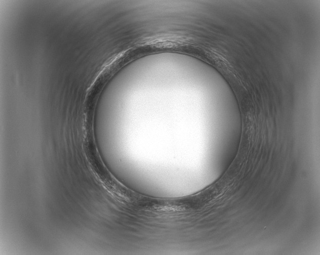 X0000051910400200507222113