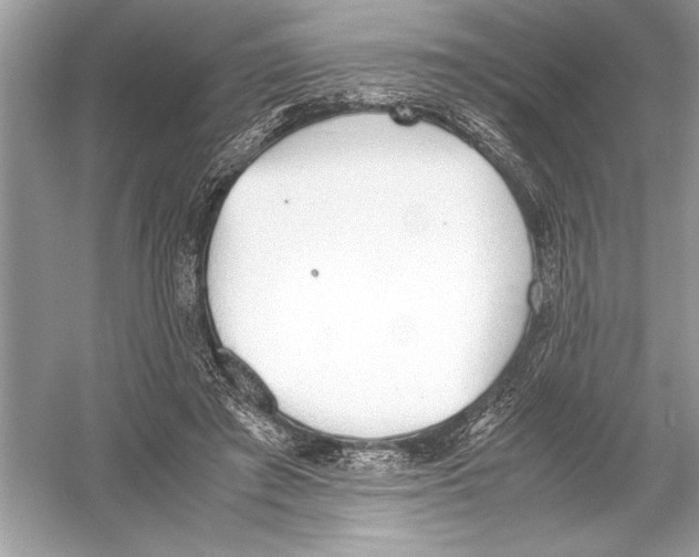 X0000051910401200507222113