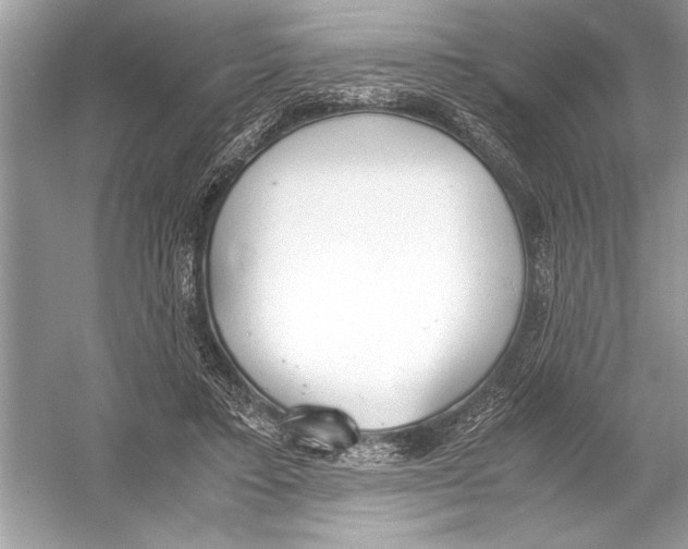 X0000051910403200507222113