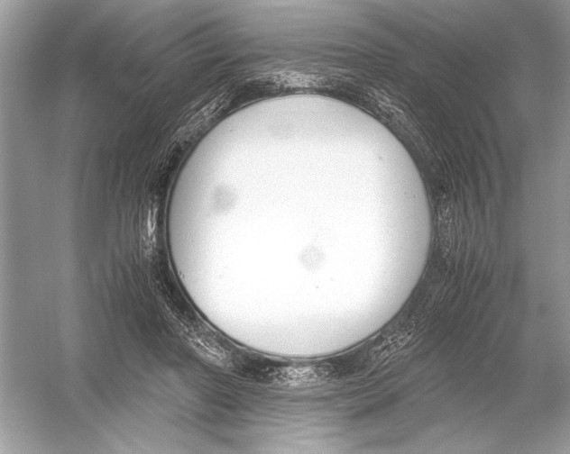 X0000051910406200507222113