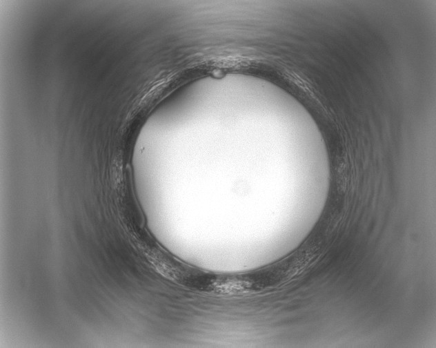 X0000051910407200507222113