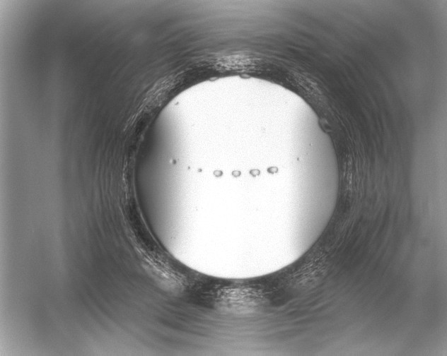 X0000051910408200507222113