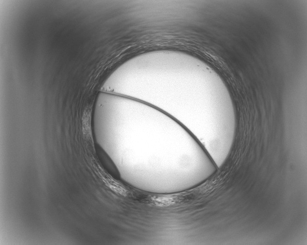 X0000051910409200507222113