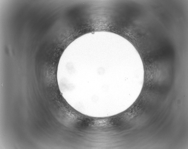 X0000051910411200507222113