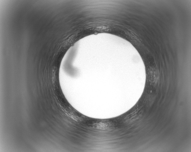 X0000051910412200507222113