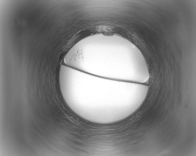 X0000051910413200507222113