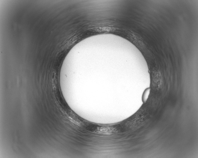 X0000051910414200507222113