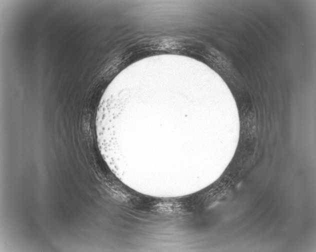 X0000051910415200507222113