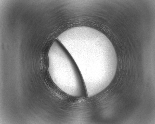 X0000051910416200507222113