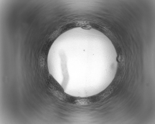 X0000051910417200507222113