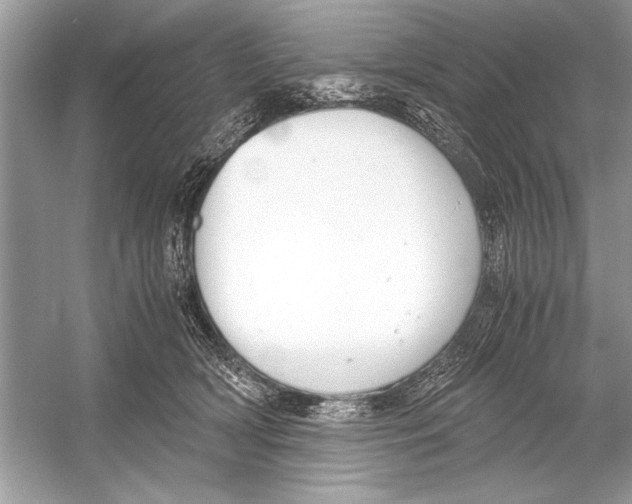 X0000051910418200507222113