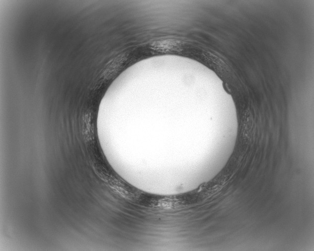 X0000051910420200507222113