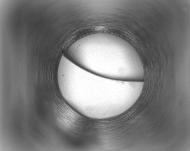 X0000051910421200507222113