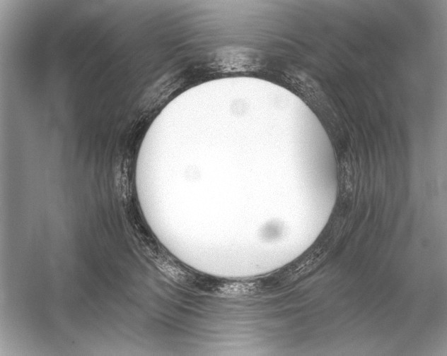 X0000051910422200507222113