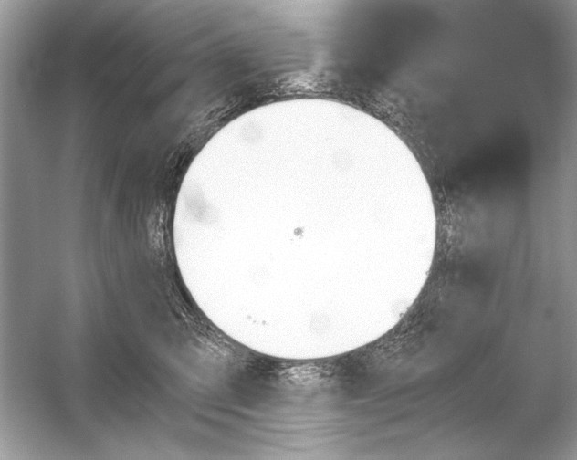 X0000051910423200507222113